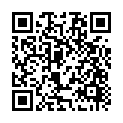 To view this 2012 Subaru Outback Stratford NJ from The Motor Zone | Buy Here Pay Here :: Lawnside | Glassboro | Vineland, please scan this QR code with your smartphone or tablet to view the mobile version of this page.