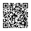 To view this 2015 Ford Explorer Stratford NJ from The Motor Zone | Buy Here Pay Here :: Lawnside | Glassboro | Vineland, please scan this QR code with your smartphone or tablet to view the mobile version of this page.
