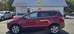 2013 Red /Tan Ford Escape SE AWD (1FMCU9GX0DU) with an 1.6L L4 DOHC 16V engine, 6-Speed Automatic transmission, located at 1010 N White Horse Pike, Stratford, NJ, 08084, (856) 262-9500, 39.838921, -75.011497 - Photo#5