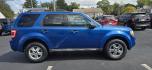 2011 Blue /CHARCOAL Ford Escape XLT FWD (1FMCU0D72BK) with an 2.5L L4 DOHC 16V engine, 6-Speed Automatic transmission, located at 1010 N White Horse Pike, Stratford, NJ, 08084, (856) 262-9500, 39.838921, -75.011497 - Photo#5